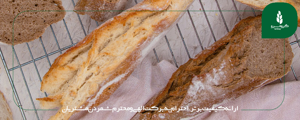 منشور اخلاقی گروه سرو